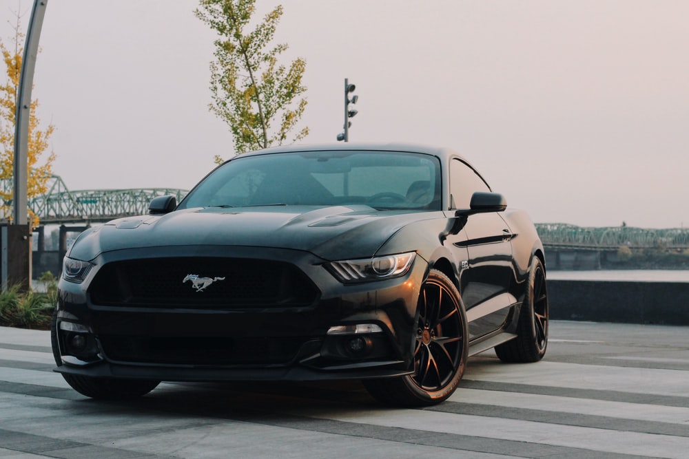 Black modern mustang near tree at sunset